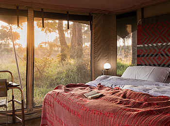 Angama Safari Camp: Morgenlicht