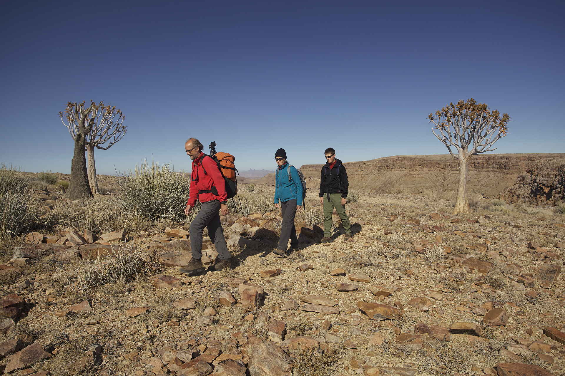Abenteuer, Fish River, Fish River Canyon, Fish River Lodge, Journeys Namibia, Köcherbaum, Namibia, Natur