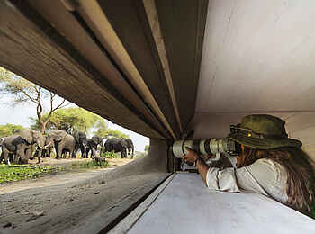 Forest Chem Chem: Ein Hide für tolle Fotoaufnahmen Forest Chem Chem: Ein Hide für tolle Fotoaufnahmen