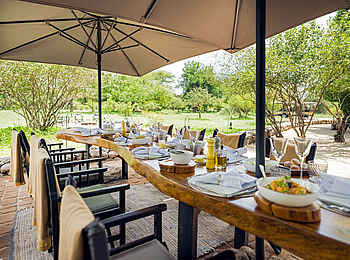 Forest Chem Chem: Gedeckte Tafel Forest Chem Chem: Gedeckte Tafel