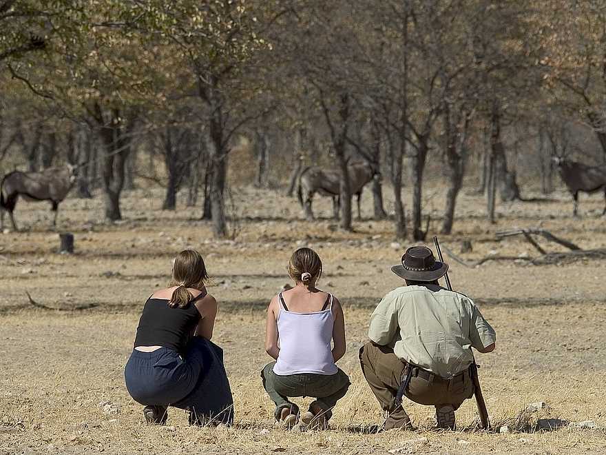 Ongava Lodge: Annäherung an Oryx Ongava Lodge: Annäherung an Oryx