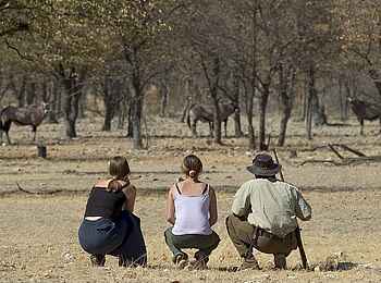 Ongava Lodge: Annäherung an Oryx Ongava Lodge: Annäherung an Oryx