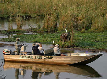 Sausage Tree Camp: Büffelbegegnung
