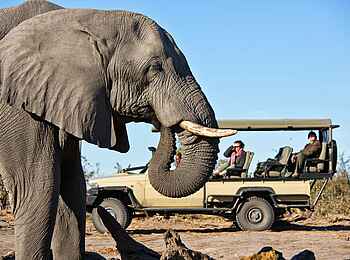 Skybeds: Pirschfahrt Skybeds: Pirschfahrt