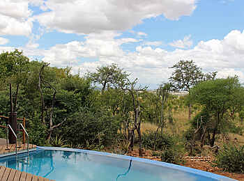 Tarangire Treetops: Infinity Pool