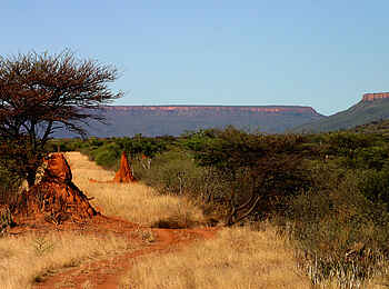 Waterberg Plateau Lodge: Termitenhügel Waterberg Plateau Lodge: Termitenhügel