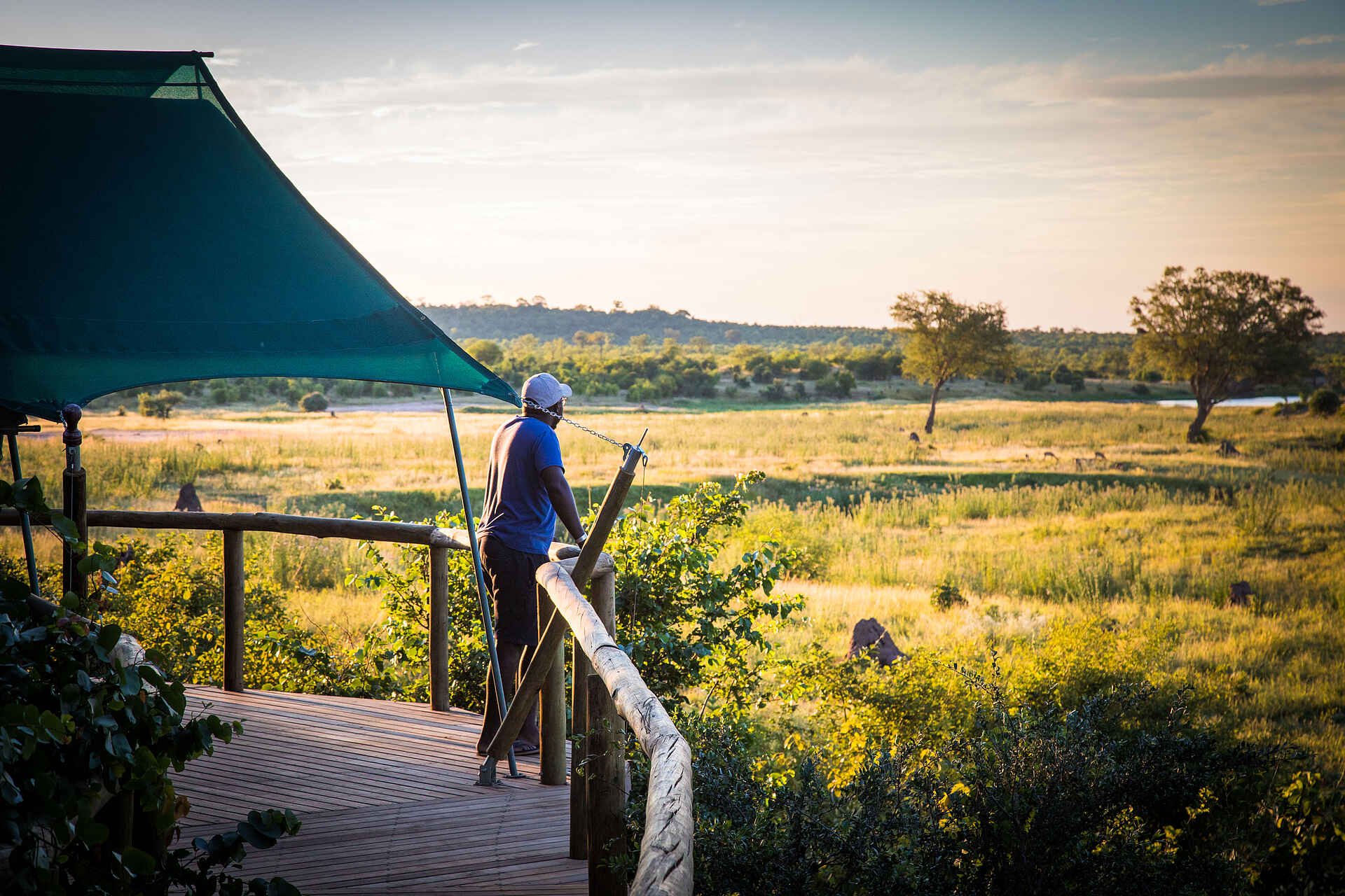 Afrikarma, Afrikarma Safaris, Afrikarma Safaris - Wildnis. Hautnah., Afrikarma.de, Deteema Springs Camp, Bäume, Büsche, Ein Gast, Erhöhter Gehweg, Fluss, Graslandschaft, Luxuszelt
