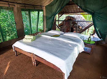 Masoala Forest Lodge: Ein Doppelbett Masoala Forest Lodge: Ein Doppelbett