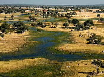 Selinda Camp: Landschaft