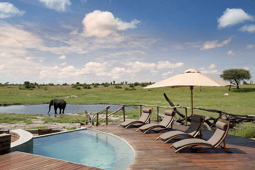 Somalisa Camp: Elefant am nahen Wasserloch Somalisa Camp: Elefant am nahen Wasserloch