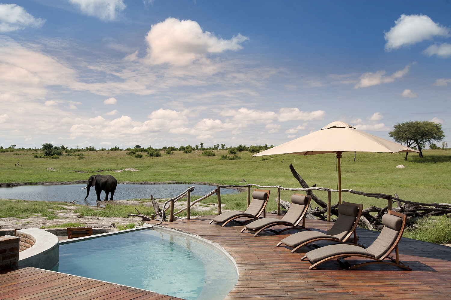 Somalisa Camp: Elefant am nahen Wasserloch