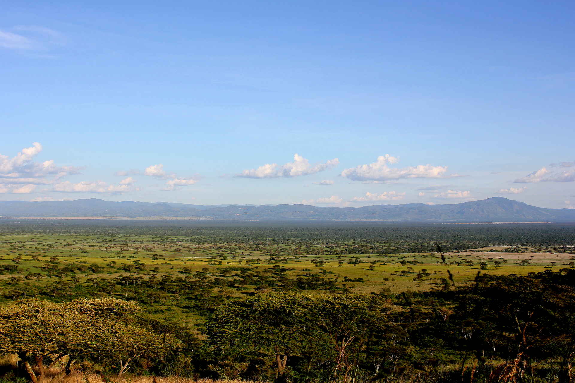 Volcanoes Kyambura Gorge Lodge: Landschaft beim Crater Drive