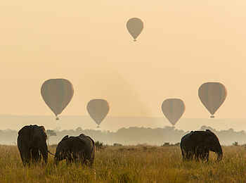 Angama Mara: Elefanten in der Masai Mara Angama Mara: Elefanten in der Masai Mara