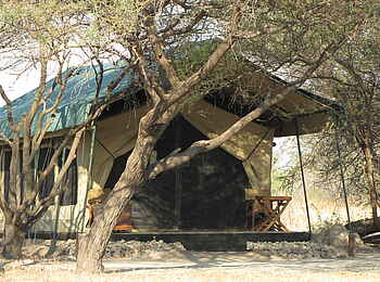 Manyara Ranch: Gästezelt unter Akazien Manyara Ranch: Gästezelt unter Akazien