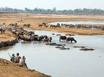 Mwamba Bush Camp: Walking Safari Mwamba Bush Camp: Walking Safari