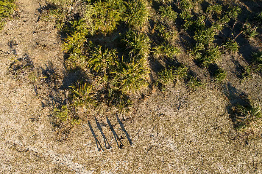 Setari Camp: Blick von oben Setari Camp: Blick von oben