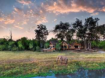 Camp Tawana: Umgebung der Gästeunterkünfte Camp Tawana: Umgebung der Gästeunterkünfte