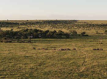 Little Elephant Pepper Camp: Elefantenherde