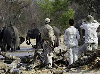Little Makalolo Camp: Am Beobachtungsunterstand aus Baumstämmen Little Makalolo Camp: Am Beobachtungsunterstand aus Baumstämmen
