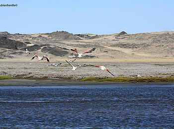 Lüderitz Nest Hotel: Halbinsel von Lüderitz