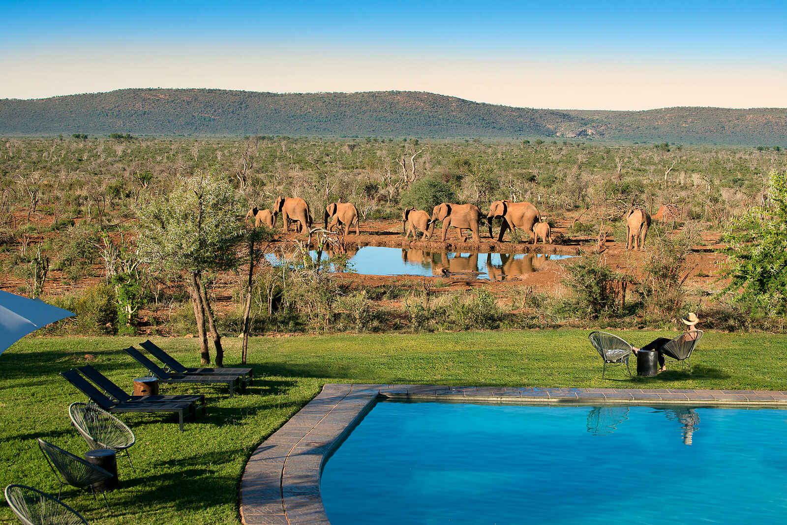 Madikwe Safari Lodge Kopano: Der Pool Madikwe Safari Lodge Kopano: Der Pool