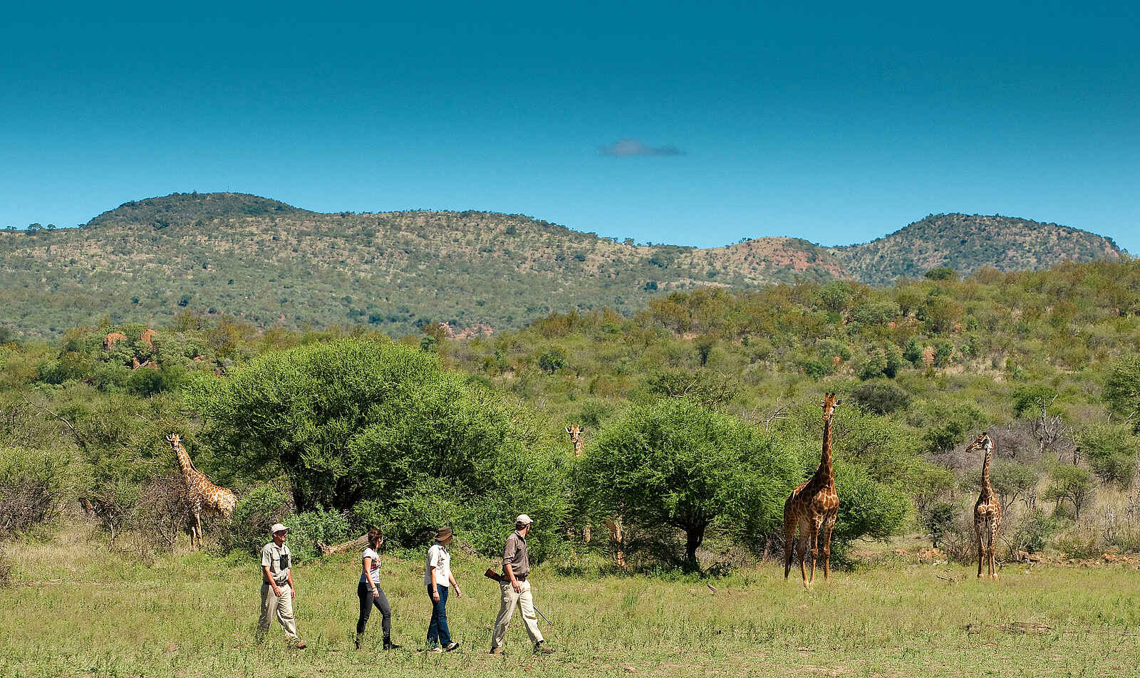 Madikwe Safari Lodge Kopano: Walking Safari Madikwe Safari Lodge Kopano: Walking Safari