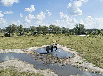 Mogogelo Camp: Elefant vor dem Camp Mogogelo Camp: Elefant vor dem Camp