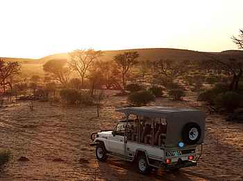 Otjimbondona Kalahari Lodge: Eine Pirschfahrt zum Sonnenuntergang