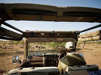 Serian Serengeti Mobile Camp: Safari