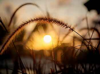 Zanzibar White Sand Luxury Villas: Warme Tropensonne Zanzibar White Sand Luxury Villas: Warme Tropensonne