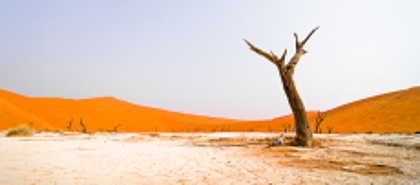 Namib-Naukluft-Park