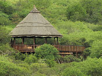 Thanda Tented Camp: Holzdeck für Tierbeobachtungen Thanda Tented Camp: Holzdeck für Tierbeobachtungen