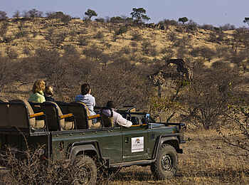 Tuli Safari Lodge Mashatu: Pirschfahrt mit Giraffe