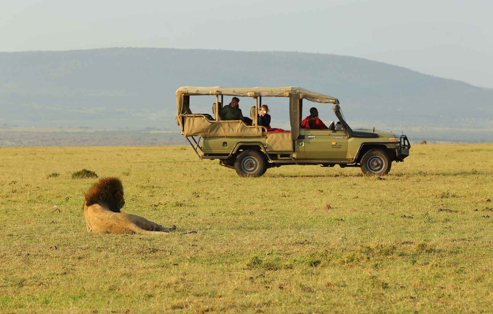Basecamp Wilderness: Löwe Basecamp Wilderness: Löwe