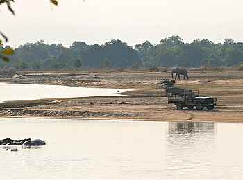 Kafunta River Lodge: Nilpferde