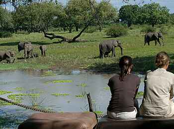 Luangwa Safari House: Elefantenherde an der Lagune Luangwa Safari House: Elefantenherde an der Lagune