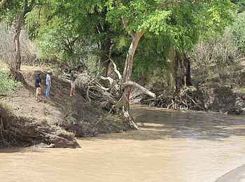 Manyara Ranch: Am Fluss Manyara Ranch: Am Fluss