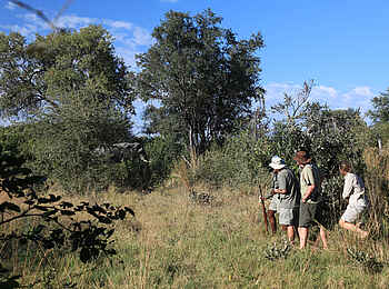 Selinda Canoe Trail: Dem Elefanten auf der Spur
