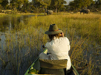 Selinda Explorers Camp: Elefanten queren den Spillway Selinda Explorers Camp: Elefanten queren den Spillway