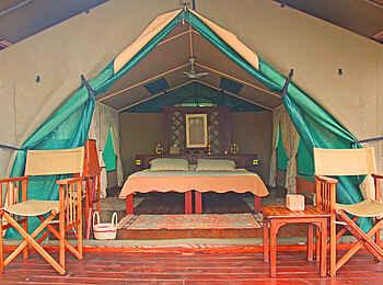 Selous Impala Camp: Innenansicht des Gästezelts