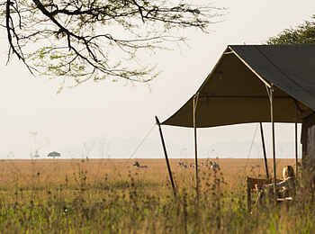 Serengeti Safari Camp: Gästezelt