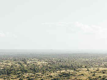 Chilo Ivory Trail Adventure: Woodland