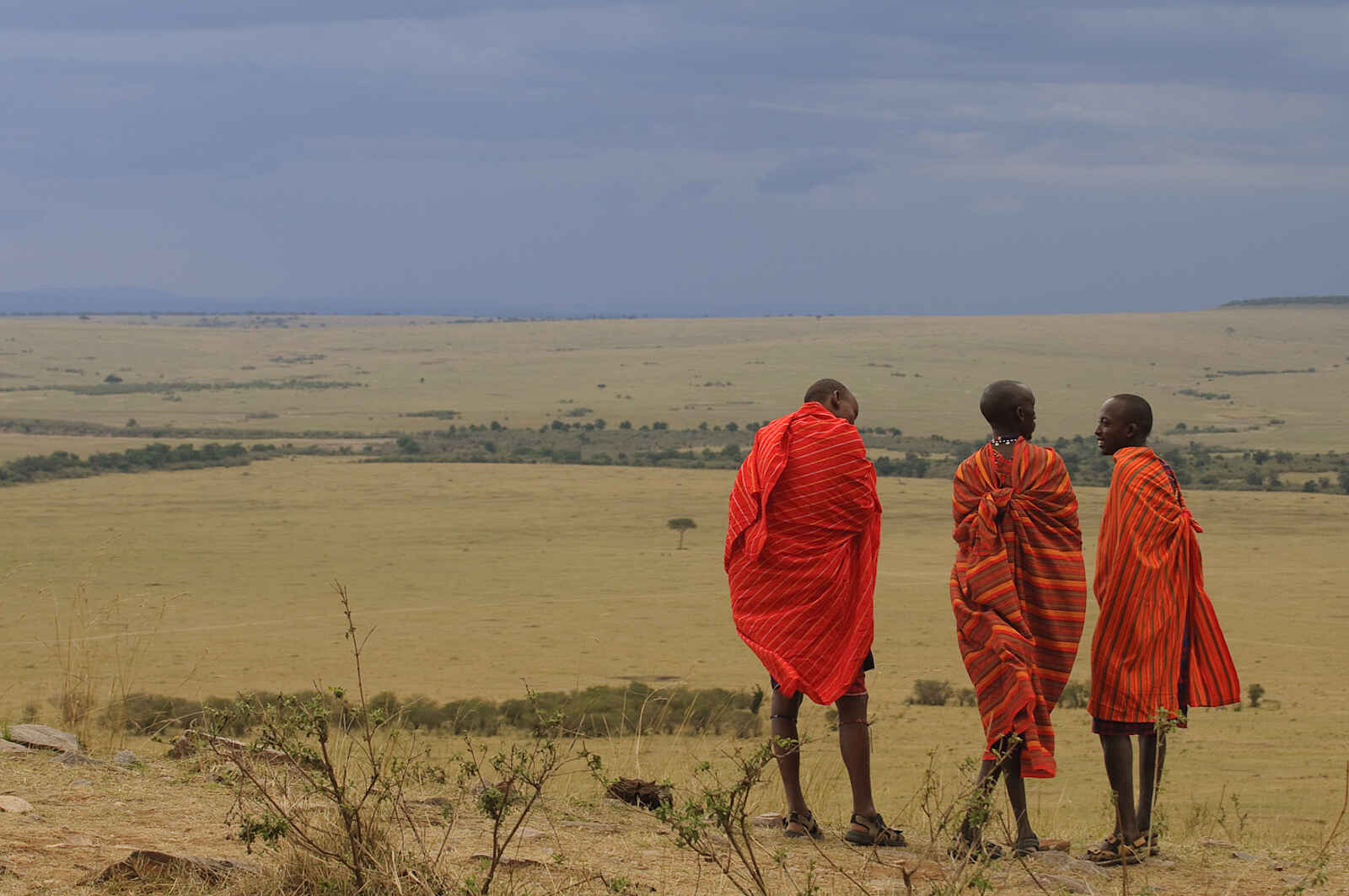 Ilkeliani Camp: Maasai Guides Ilkeliani Camp: Maasai Guides