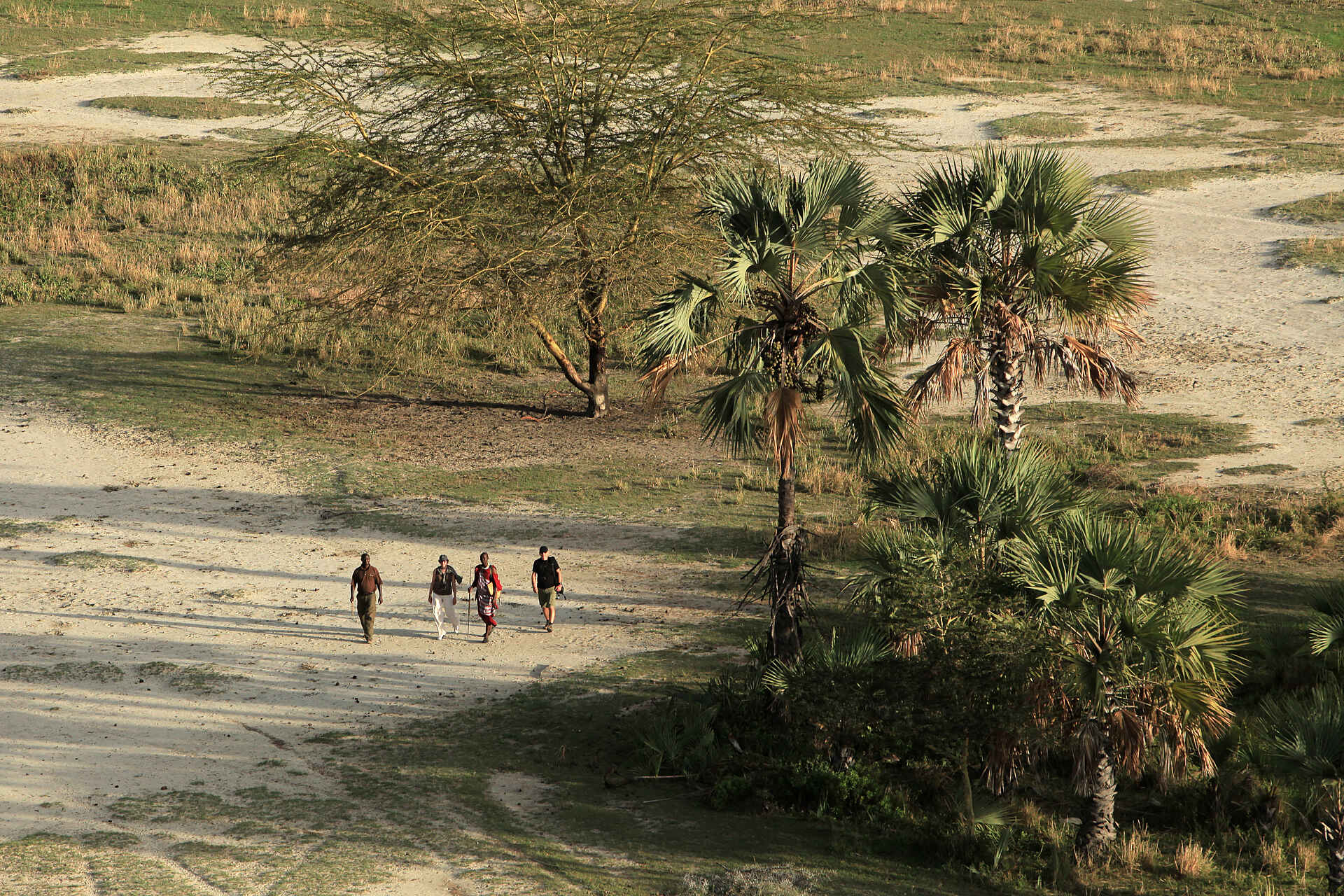 Chem Chem Lodge: Buschwanderung 5 sterne, afrikarma, arusha airport, auszeichnung, award, ballonsafari, bilder, buchen, buchung, chem chem, chem chem amani spa, chem chem lodge, chem chem reservat, chem chem reserve, elefant, fabia bausch, flamingo, gallerie, game drives, geführte Buschwanderungen, heißluftballon, helikopter, information, informieren, kilimanjaro international airport, kuro airstrip, lake manyara, lake manyara airstrip, leopard, lifewildlife, little chem chem, löwe, luxuriös, luxus, manyara, manyara-see, massage, nachhaltigkeit, nicolas negre, ostufer, pirschfahrten, private concession, private konzession, private reserve, privatreservat, reise, reisen, reiseveranstalter, safari, shop, slow safari, souvenirshop, spa, tansania, tanzania, tarangire, tarangire national park, tarangire nationalpark, urlaub, vollpension, www.afrikarma.de, yoga, aktivitäten, buschwanderung, guide, landschaft, zu fuß