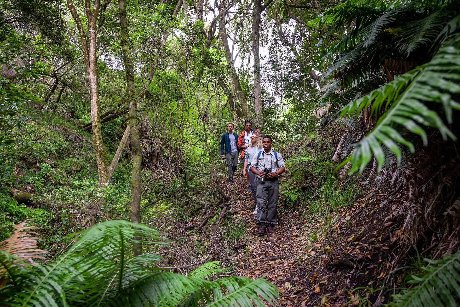 Grootbos Forest Lodge: Auf Wanderung