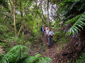 Grootbos Forest Lodge: Auf Wanderung Grootbos Forest Lodge: Auf Wanderung