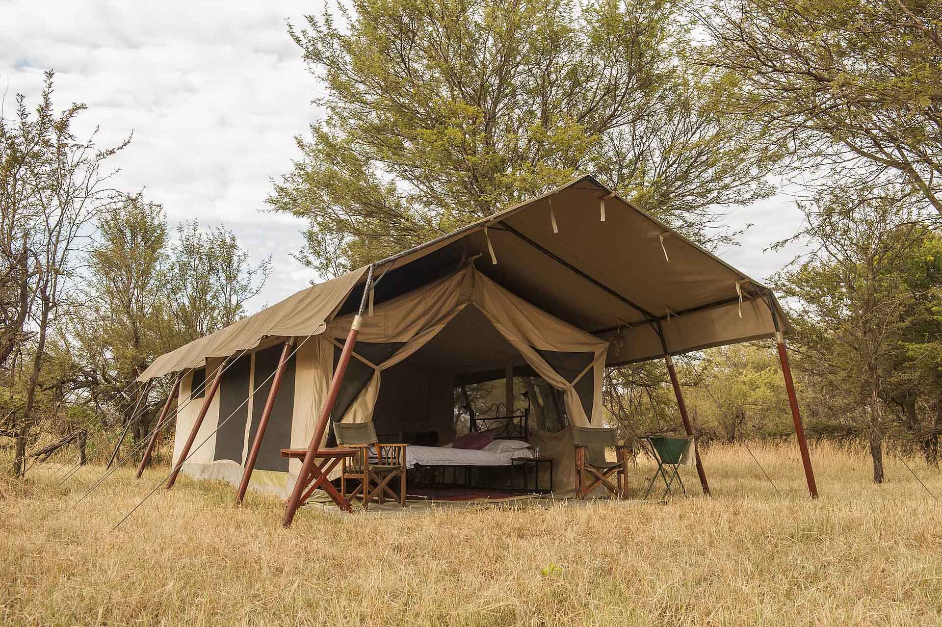 Bologonya, Mara under Canvas Tented Camp, Mobiles Camp, Nationalpark, Serengeti, Tanganyika Wilderness Camps, Tansania, Bett, Doppelbett, Gästeunterkünfte, Lage, Terrasse, Umgebung, Vegetation, Veranda, Zelte, Afrikarma, Afrikarma Safaris, Afrikarma Safaris - Wildnis. Hautnah., Afrikarma.de