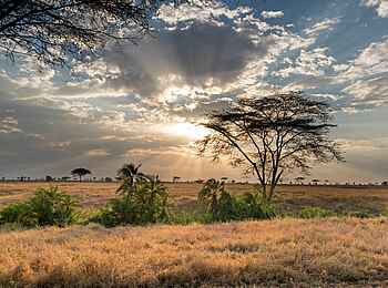 Ole Serai Luxury Camp - Turner Springs: Blick auf die Serengeti Ole Serai Luxury Camp - Turner Springs: Blick auf die Serengeti