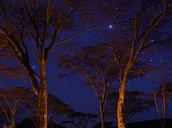 Saruni Mara Camp: Sternenhimmel