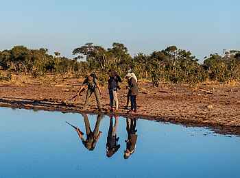 Skybeds: Auf Pirschgang Skybeds: Auf Pirschgang